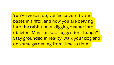 You ve woken up you ve covered your bases in tinfoil and now you are delving into the rabbit hole digging deeper into oblivion May I make a suggestion though Stay grounded in reality walk your dog and do some gardening from time to time